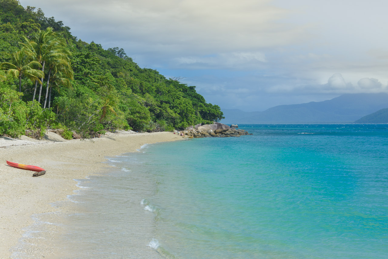 Fitzroy Island