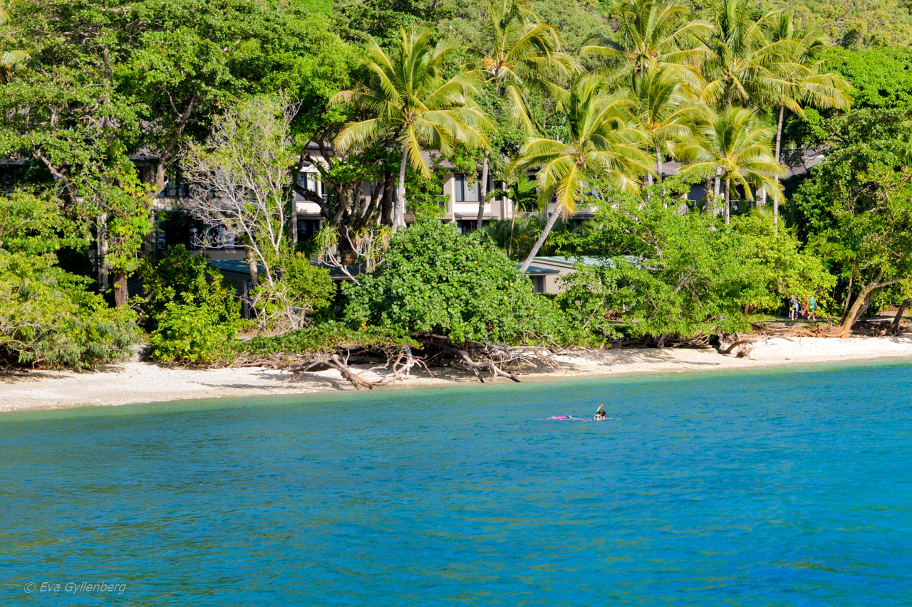 Fitzroy Island snorkling