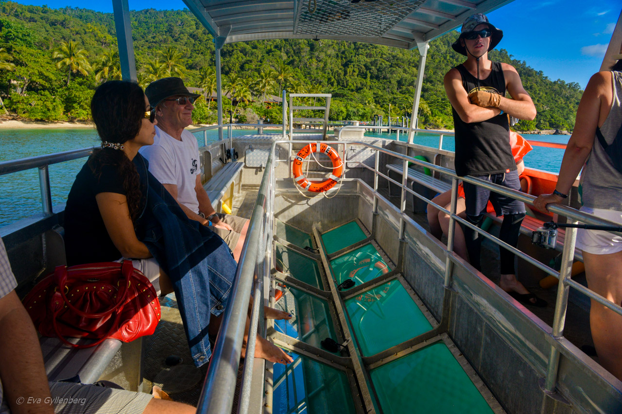 Fitzroy Island - Glassbottomboat