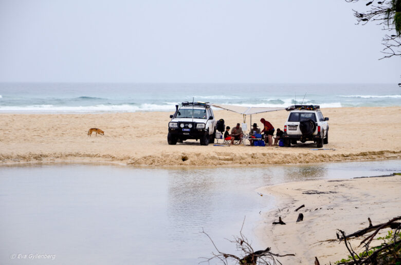 Fraser Island - Australia