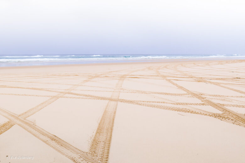 Fraser Island - Australien