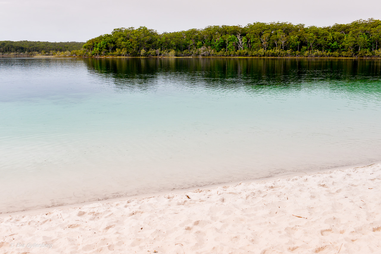 Fraser Island - Australien