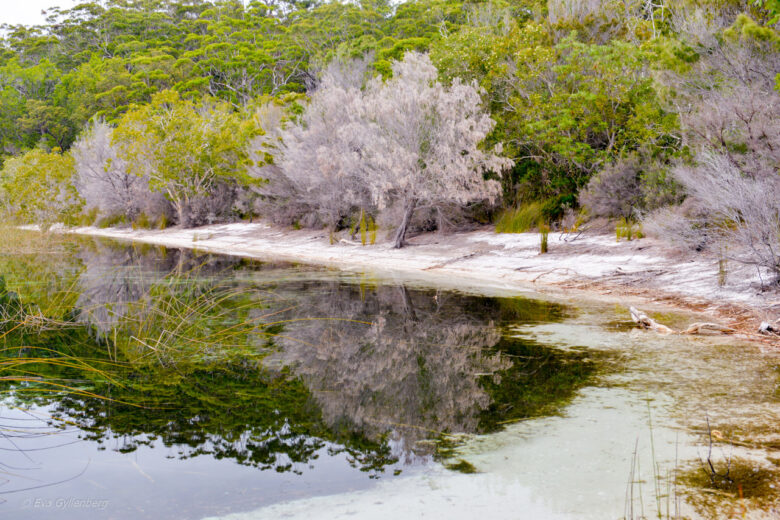 Fraser Island - Australien