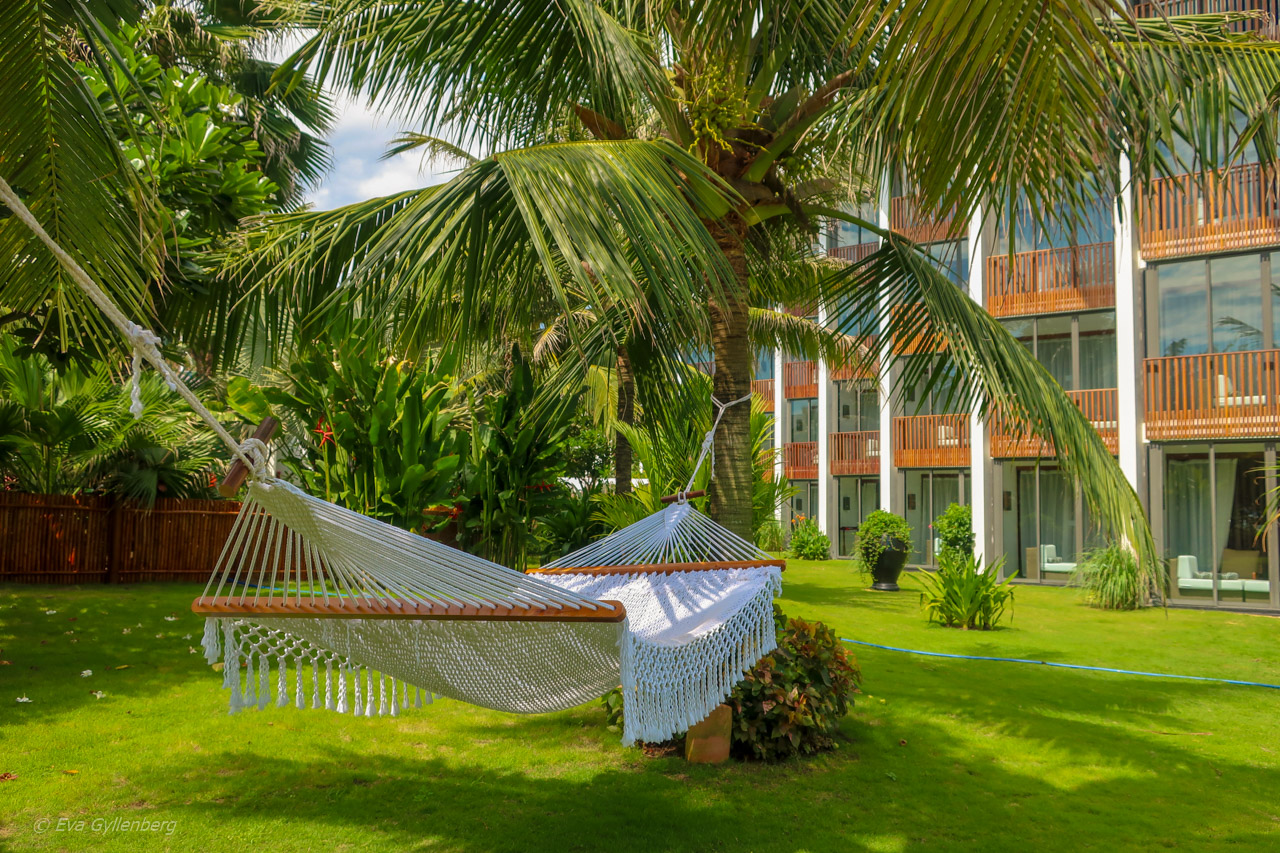 Sunrise Premium Resort Hoi An (1)