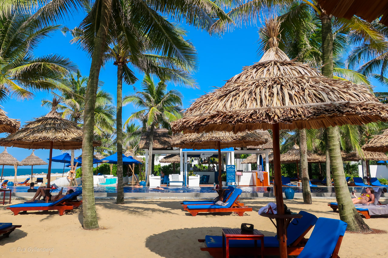 Sunrise Premium Resort Hoi An (1)