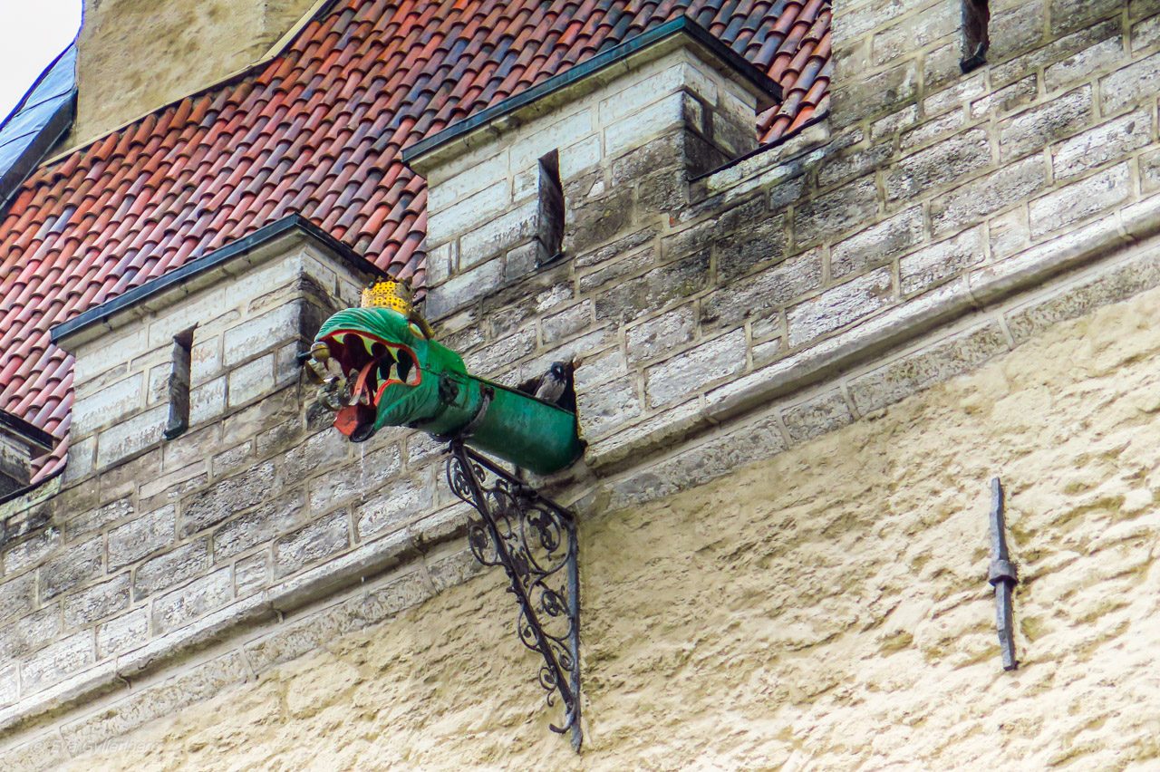Draken på rådhuset - Tallinn - Estland