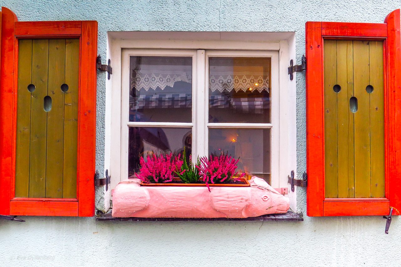 Grisblomlådan - Tallinn - Estland