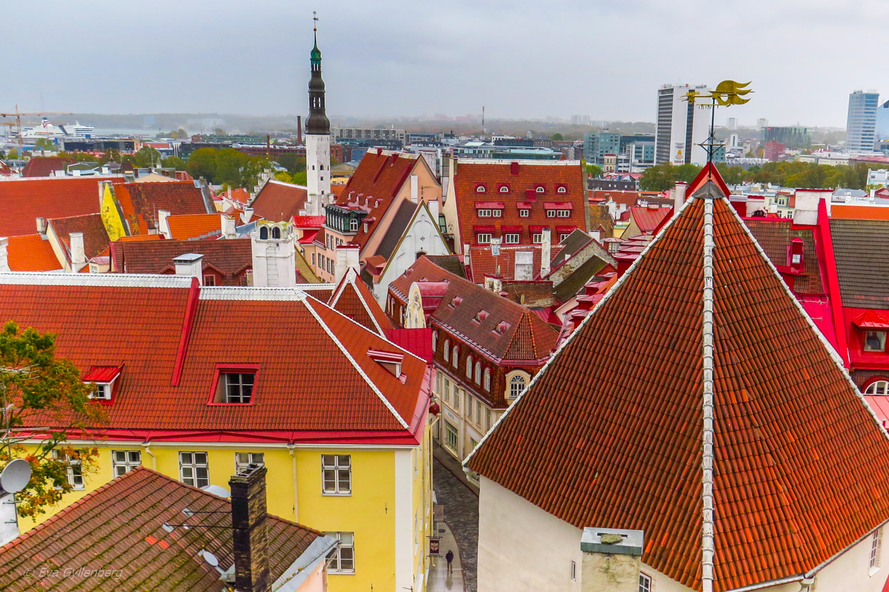Tallinn - Estland