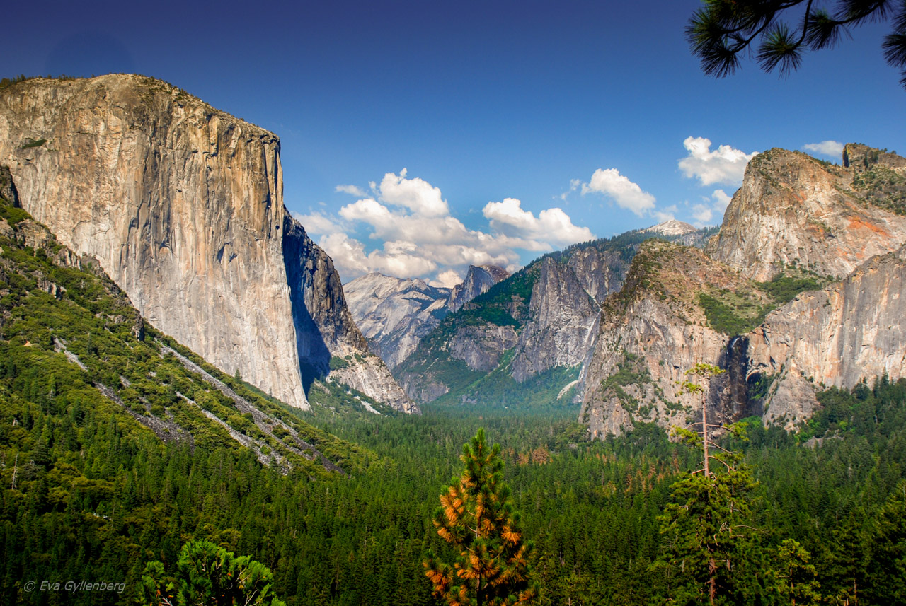 Yosemite National Park