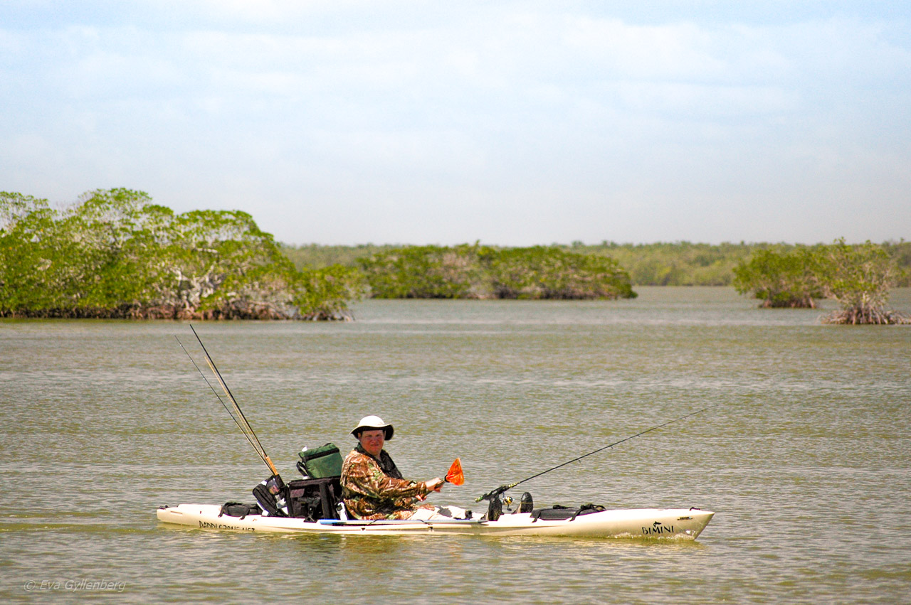 Everglades kanotist
