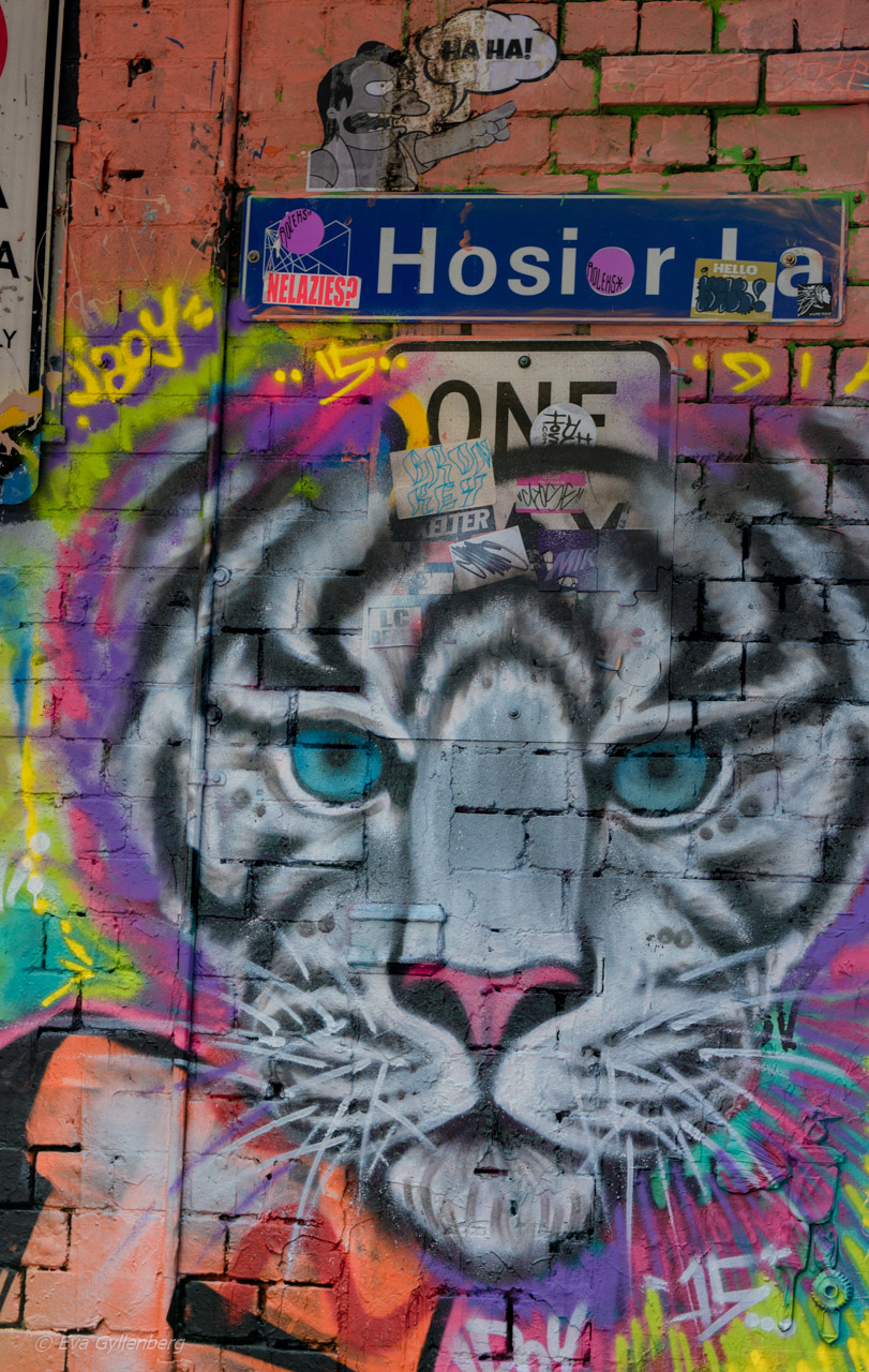Melbourne street art