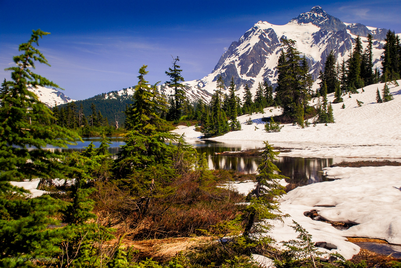 Mount Shuksan