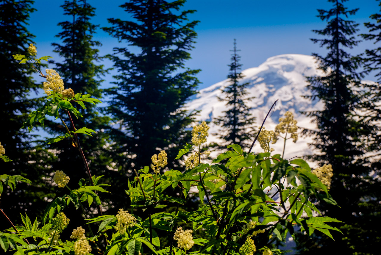 North Cascades National Park