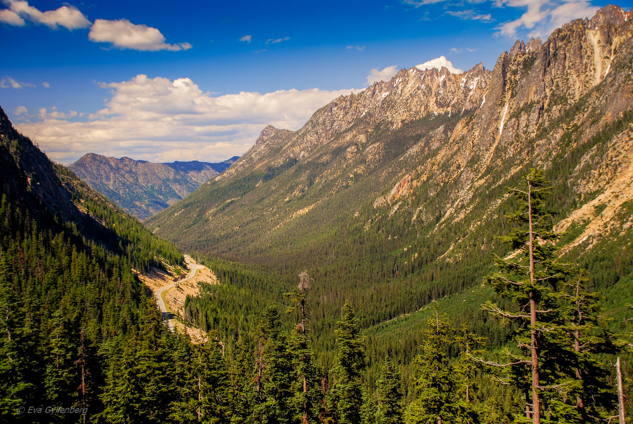 Washington Pass Overlook