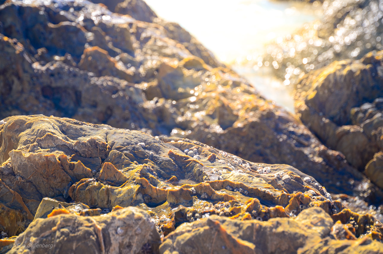 Palm Cove - Cairns - Australien
