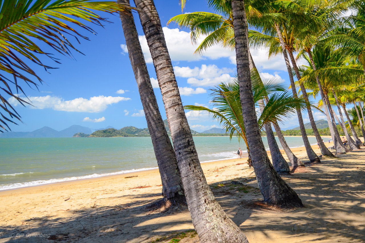 Palm Cove - Cairns - Australien