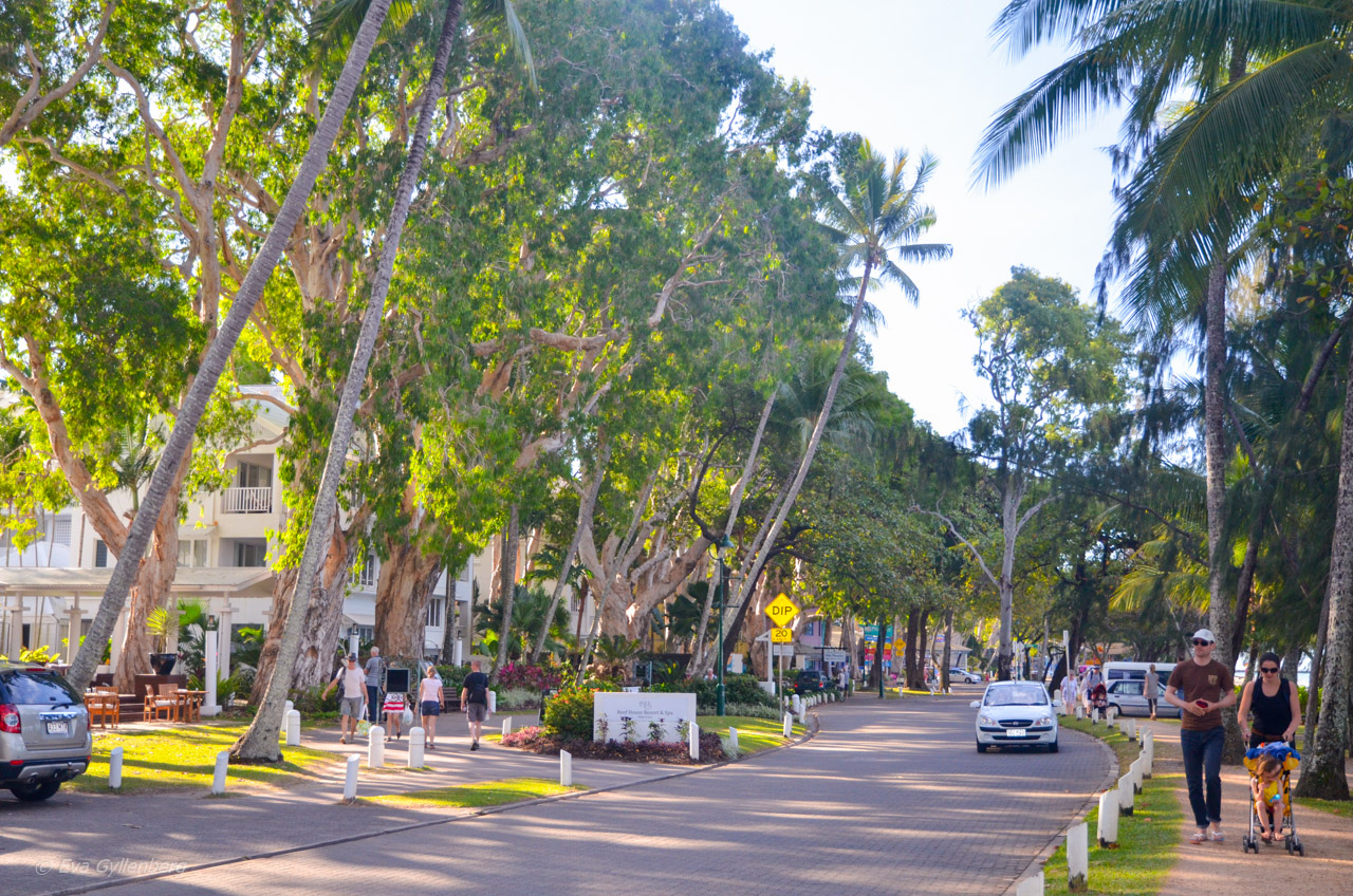 Palm Cove - Cairns - Australien