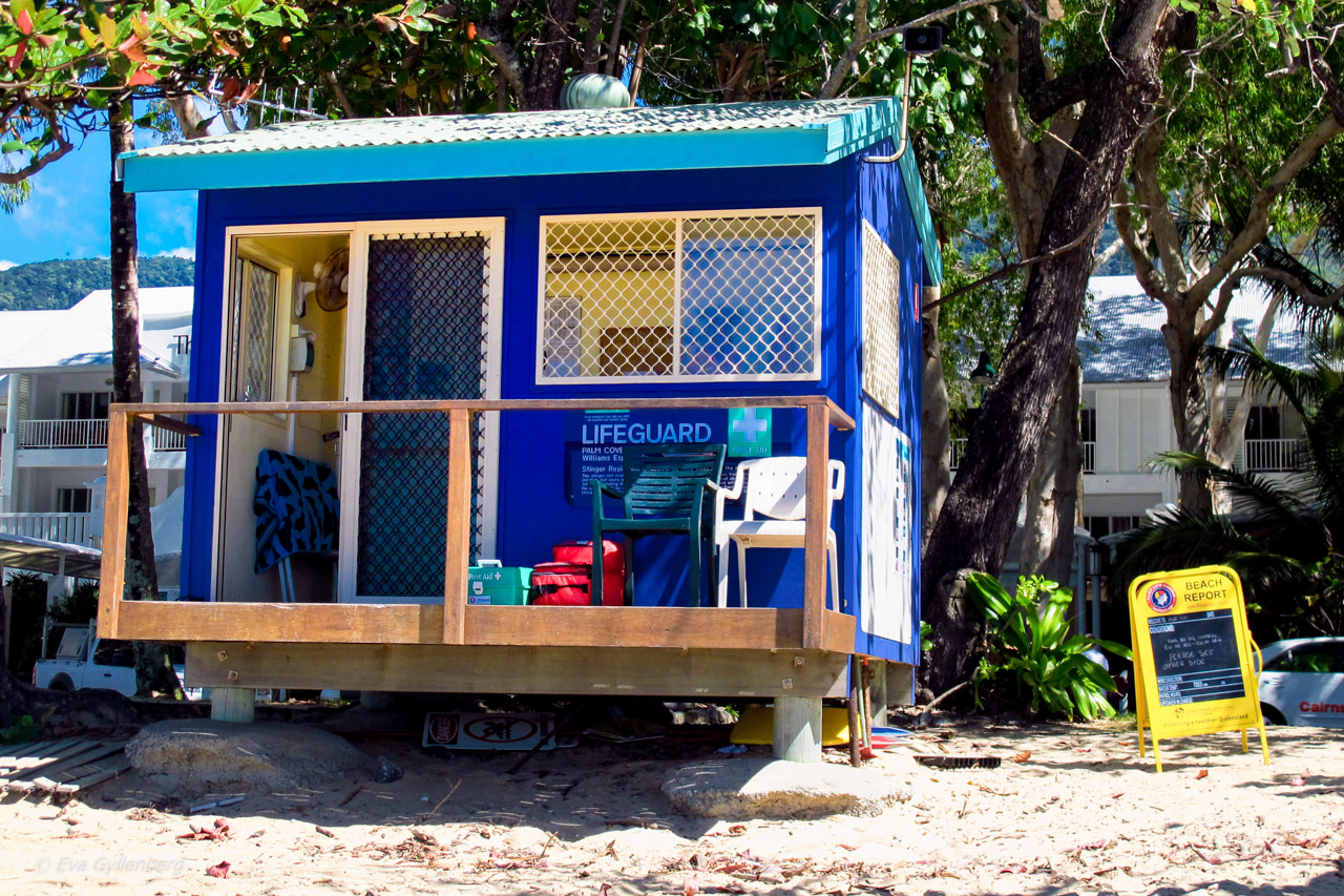Palm Cove - Cairns - Australien