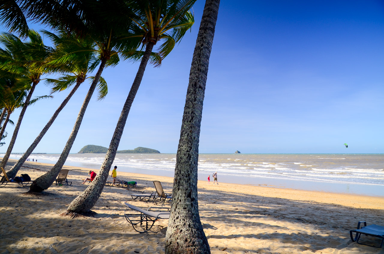 Palm Cove - Cairns - Australien