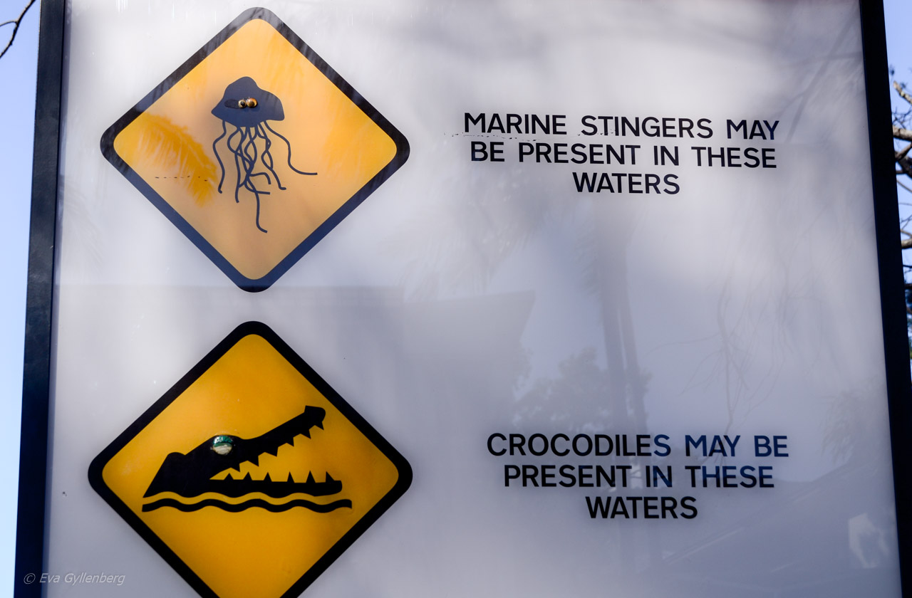 Palm Cove - Cairns - Australien
