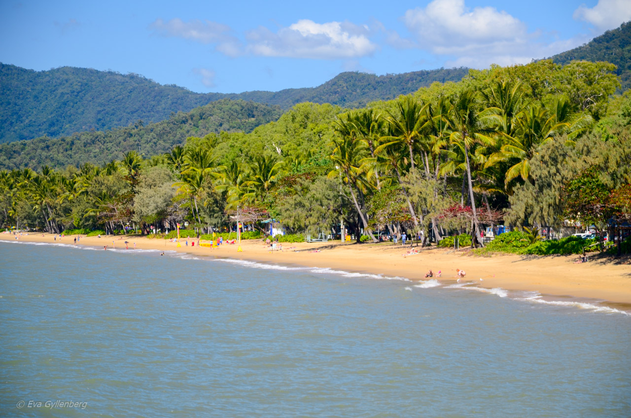 Palm Cove - Cairns - Australien