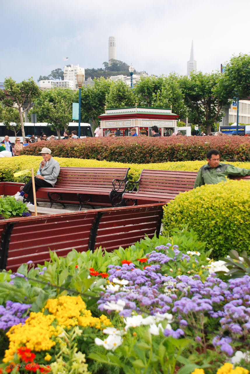 San Francisco