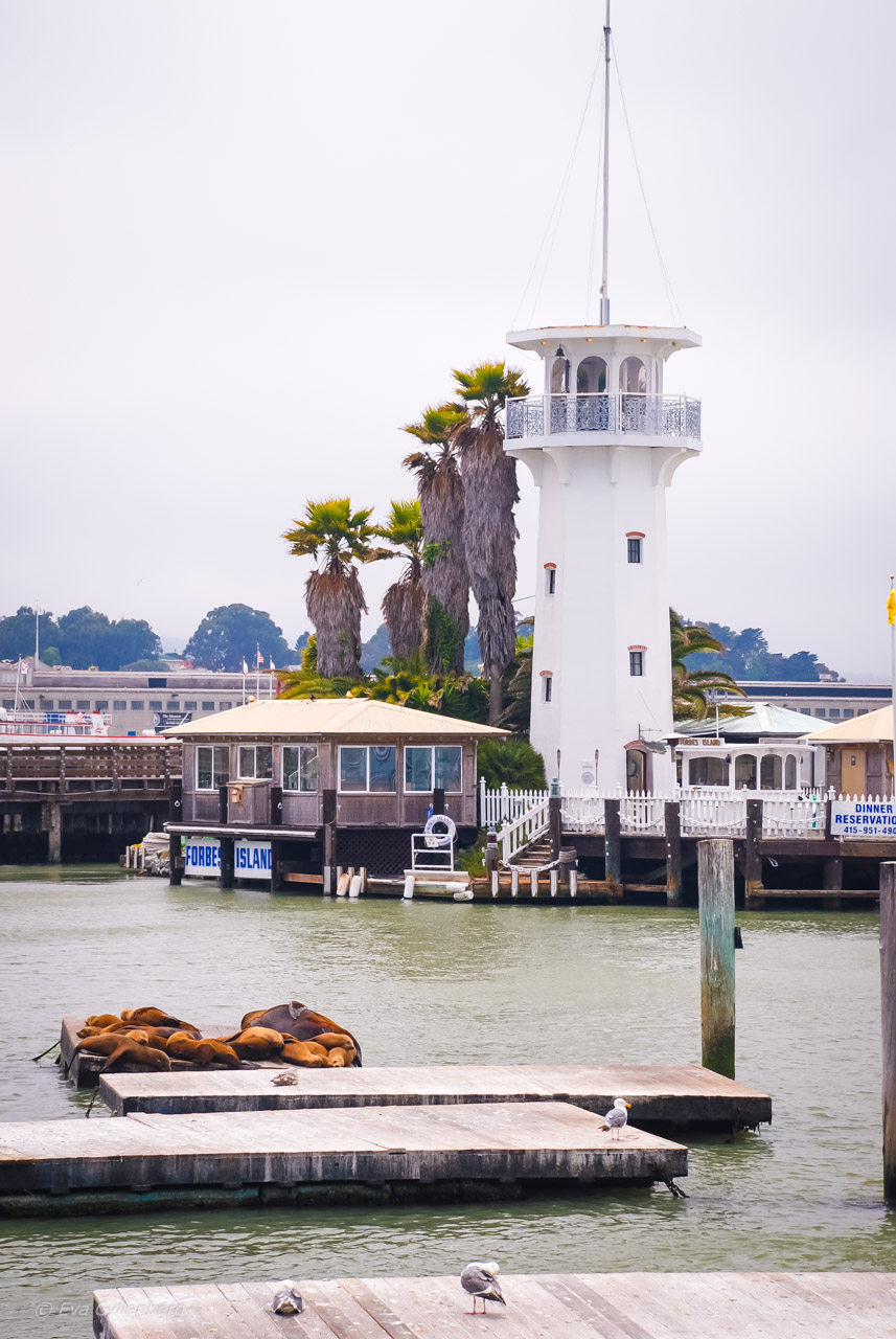 San Francisco