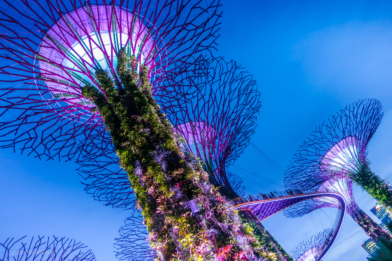 Singapore - Gardens by the bay