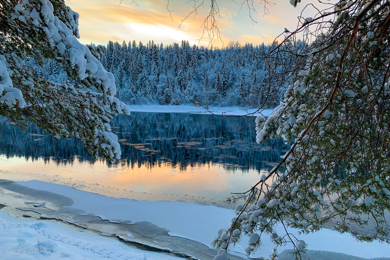 Jul i Umeå