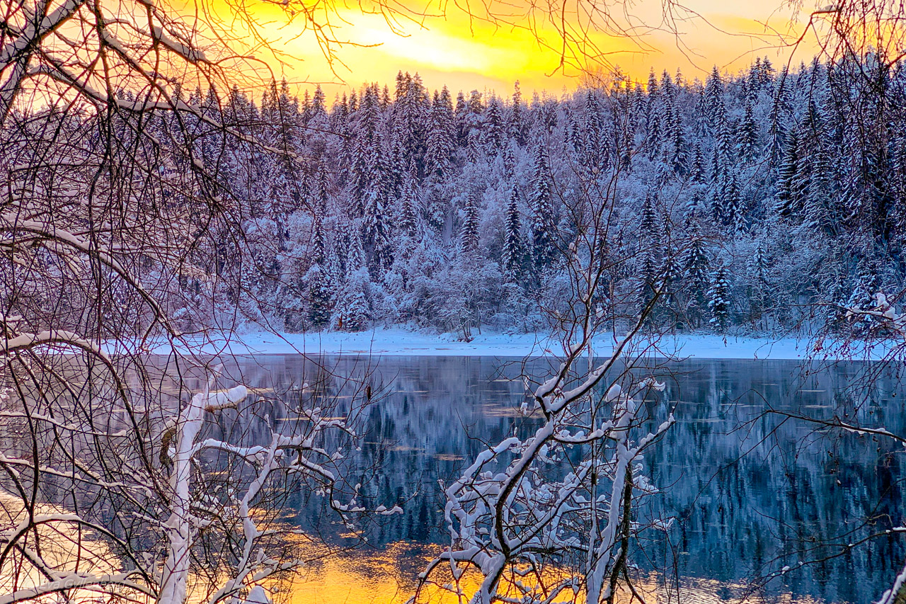 Jul i Umeå