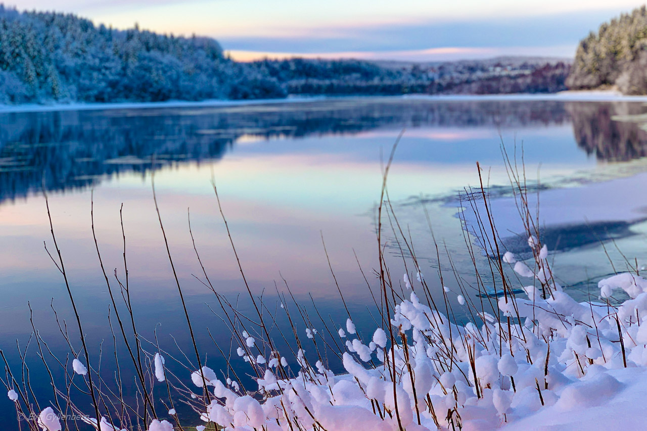 Jul i Umeå