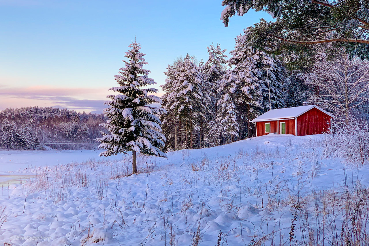 Jul i Umeå