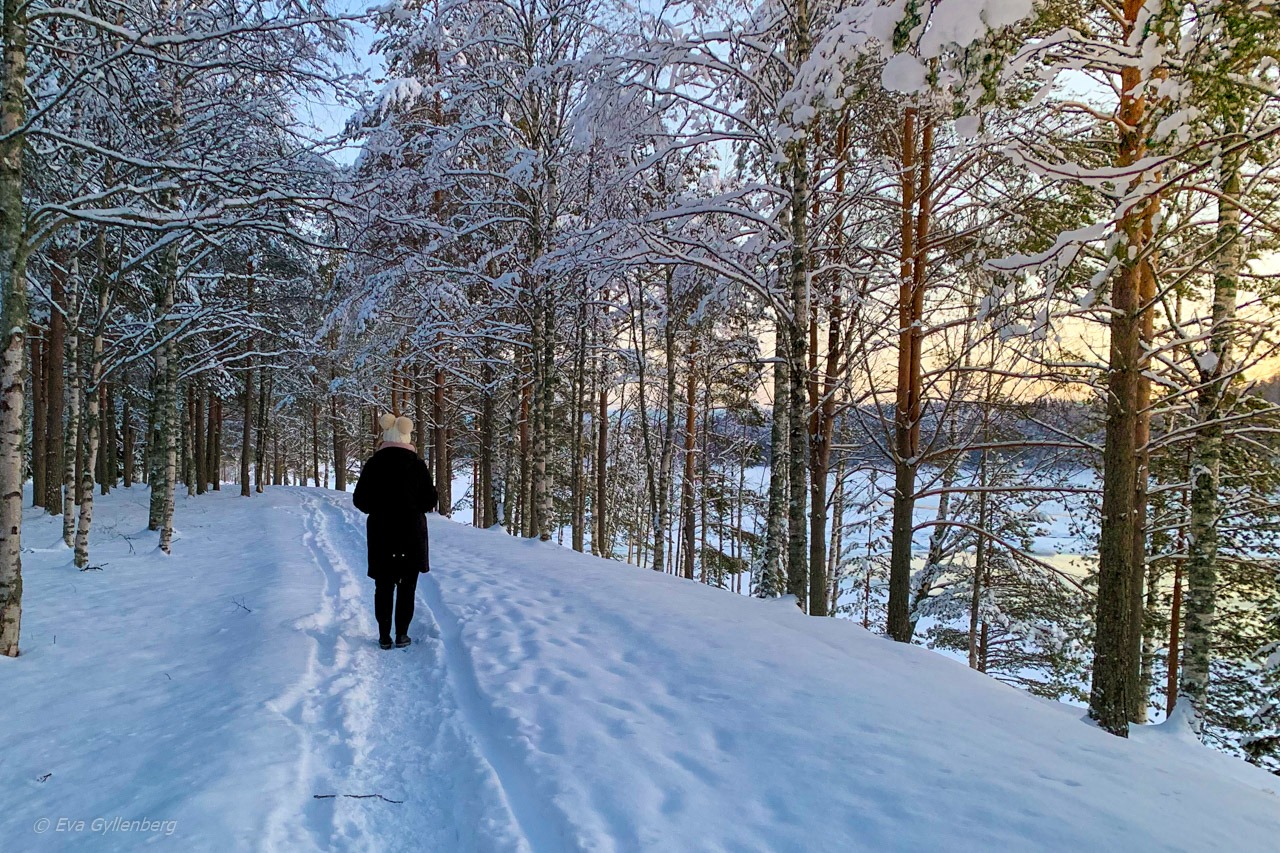 Jul i Umeå