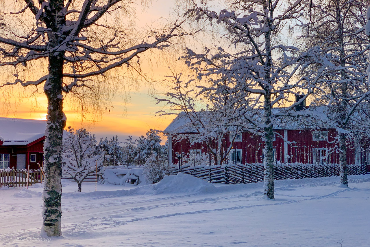 Christmas in Umeå