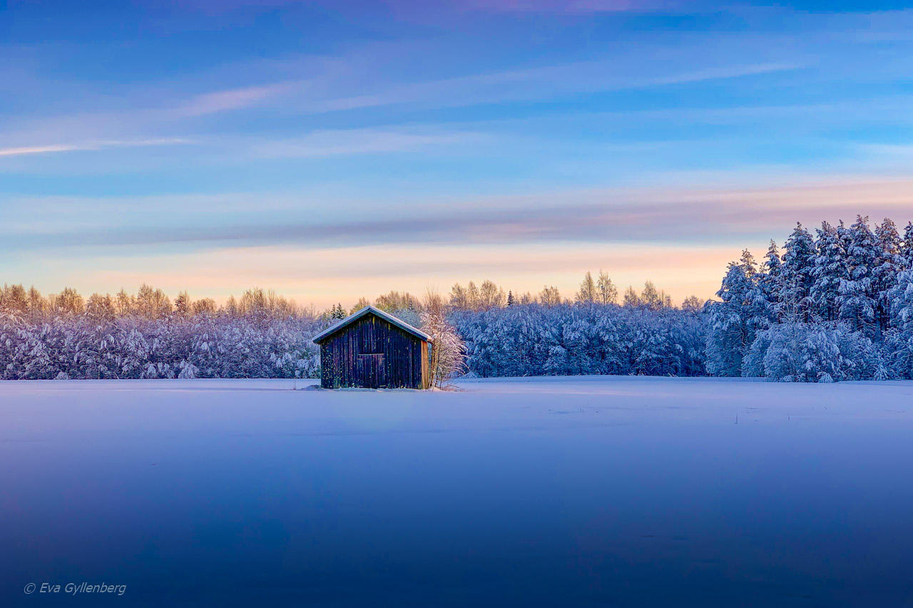 Jul i Umeå