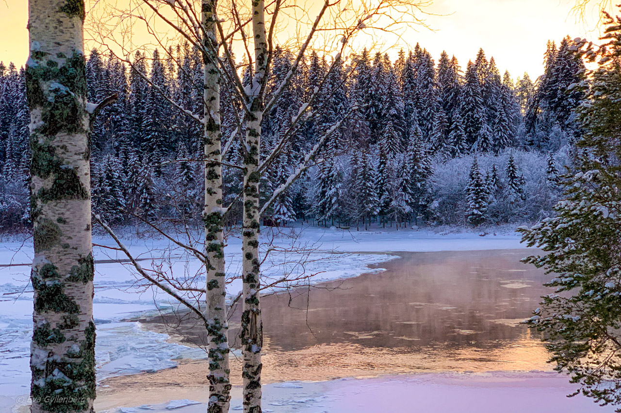 Jul i Umeå