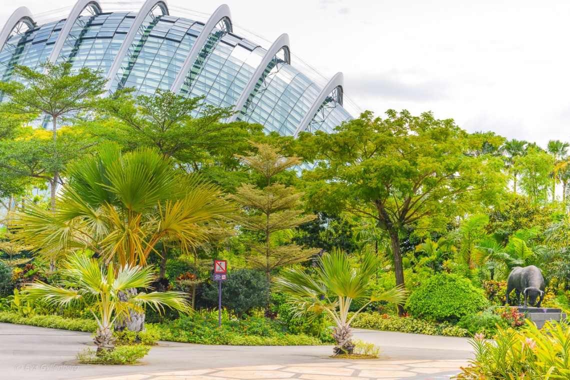 Gardens By the Bay