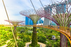 Gardens by the Bay
