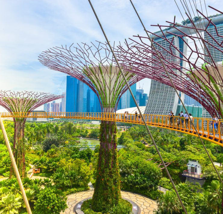 Gardens By the Bay
