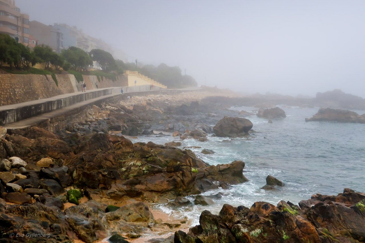 Foz-Porto