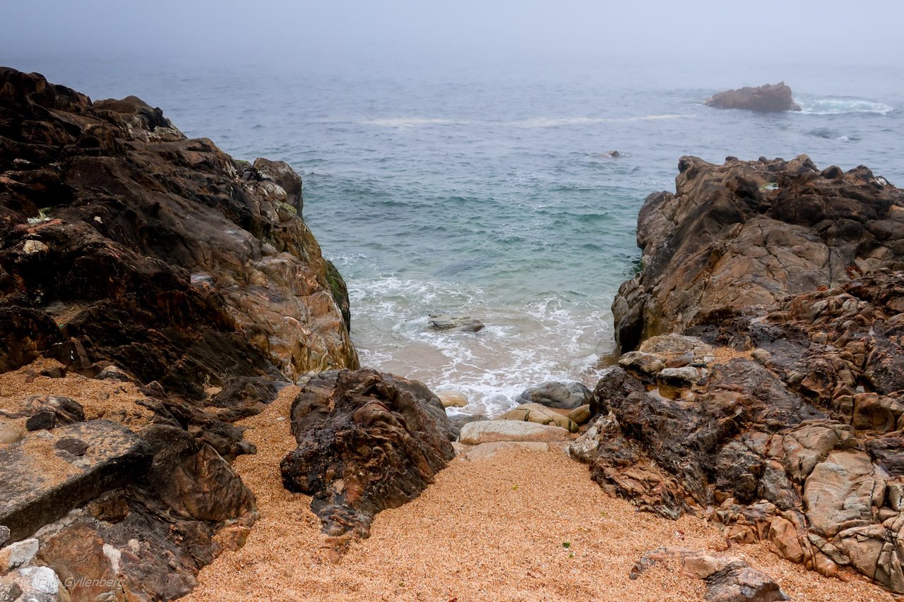 Foz-Porto
