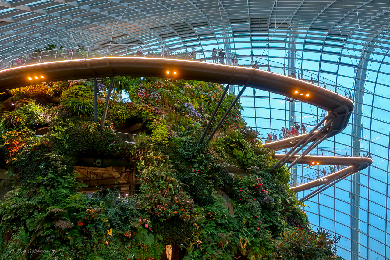 Gardens by the Bay - Singapore