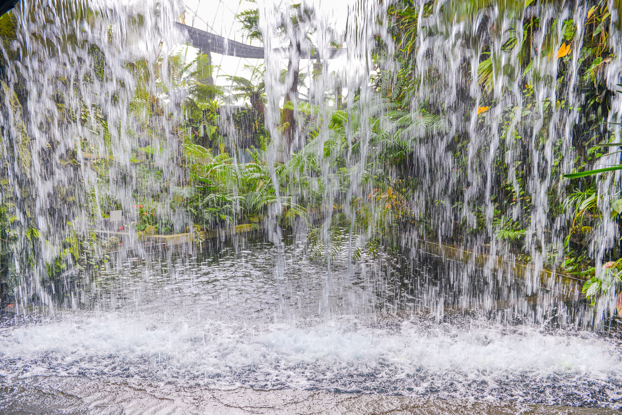 Gardens by the bay - Singapore
