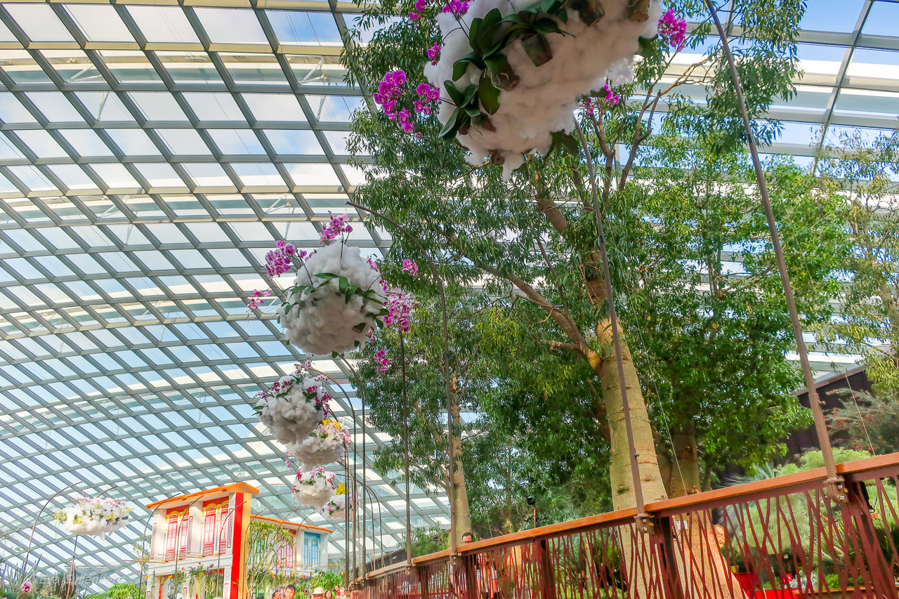Gardens by the bay - Singapore