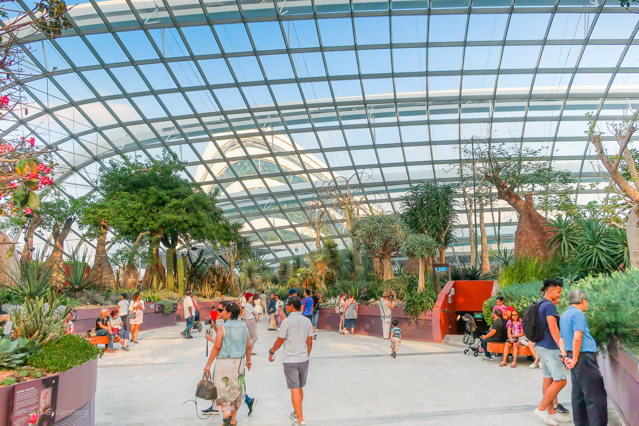 Gardens by the bay - Singapore