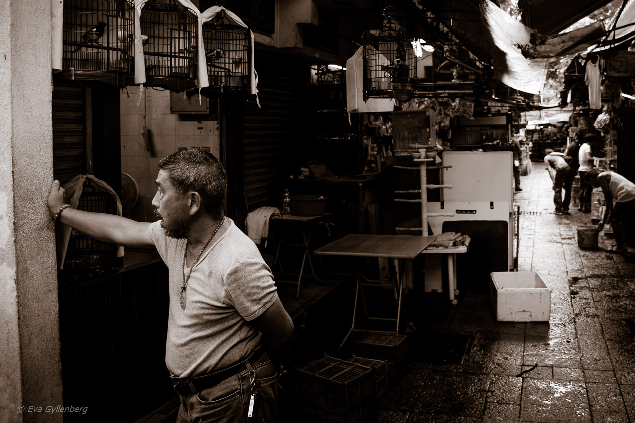 Hong Kong Bird Market