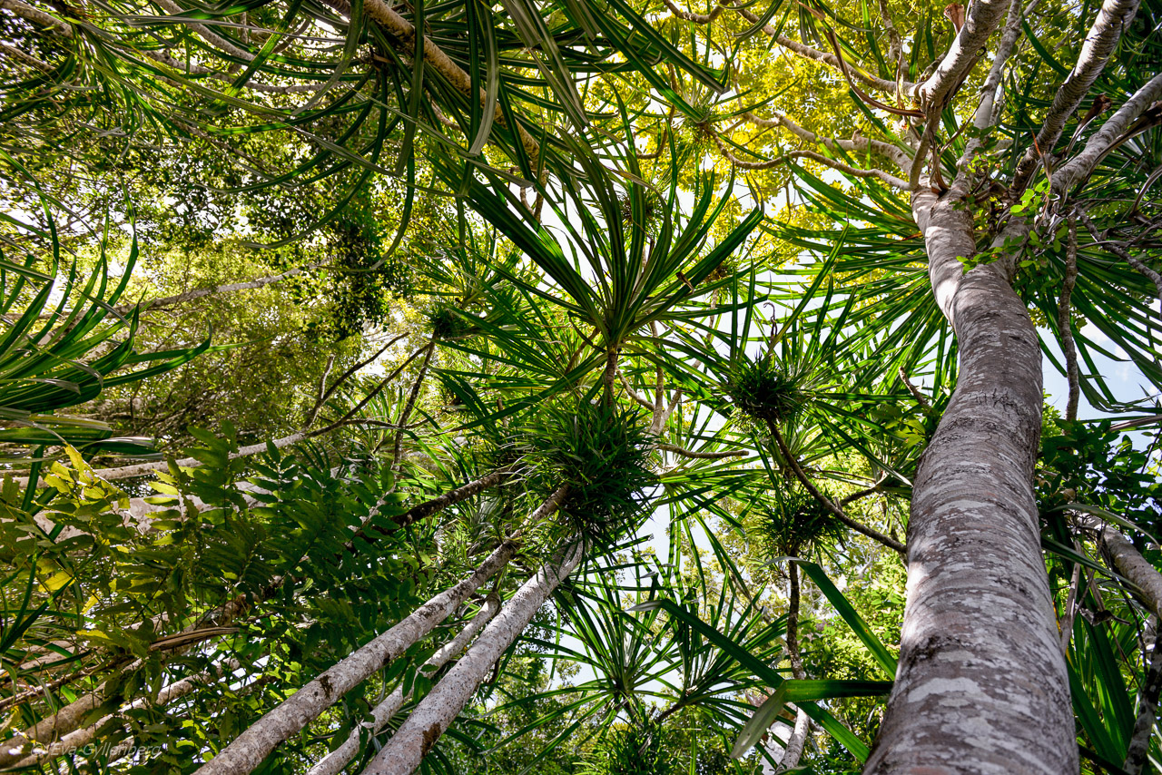 Lake Eacham - Crater Lakes Queensland
