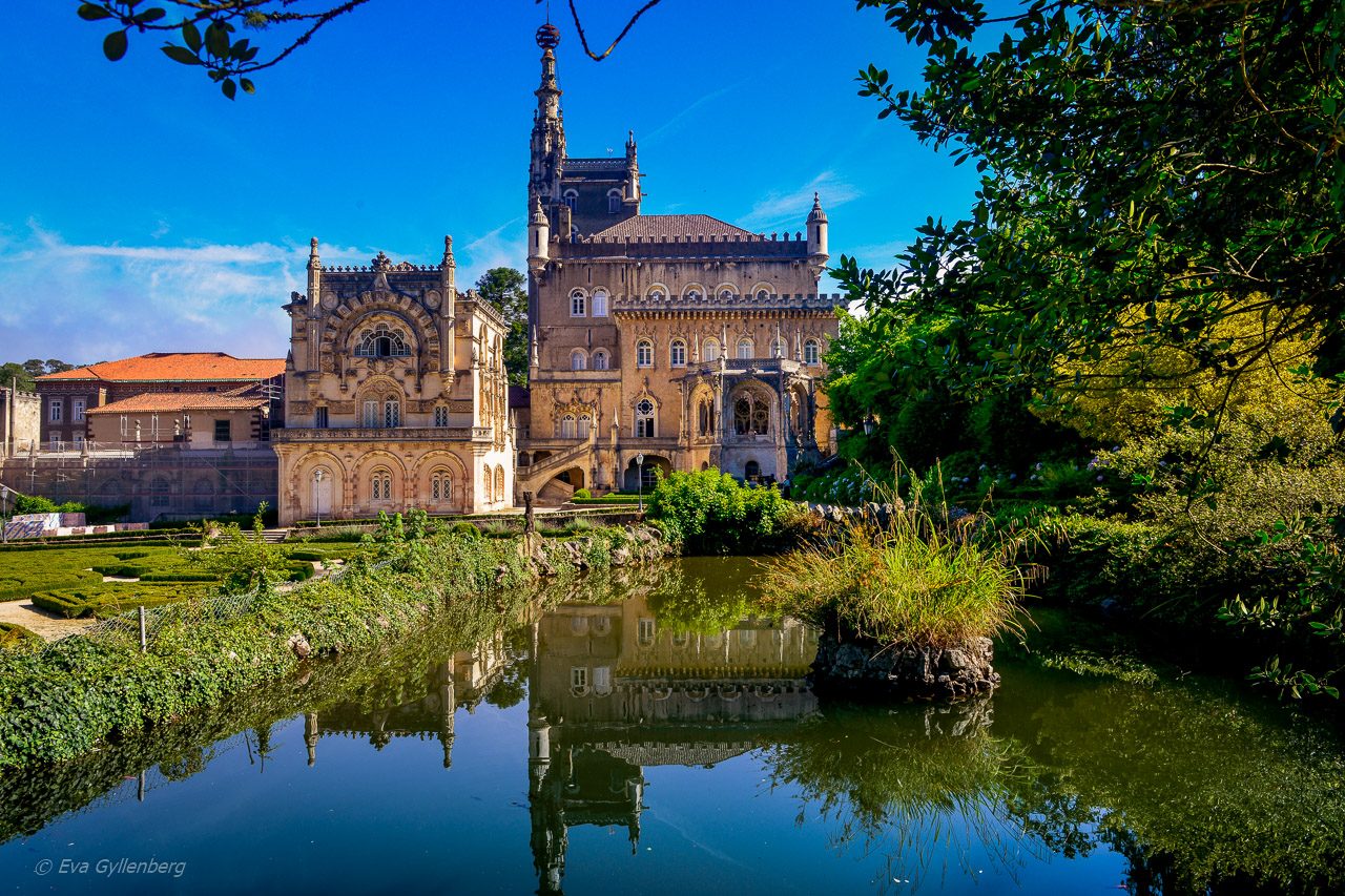 Mata NaMata Nacional do Bucaco - Portugalcional do Bucaco - Portugal