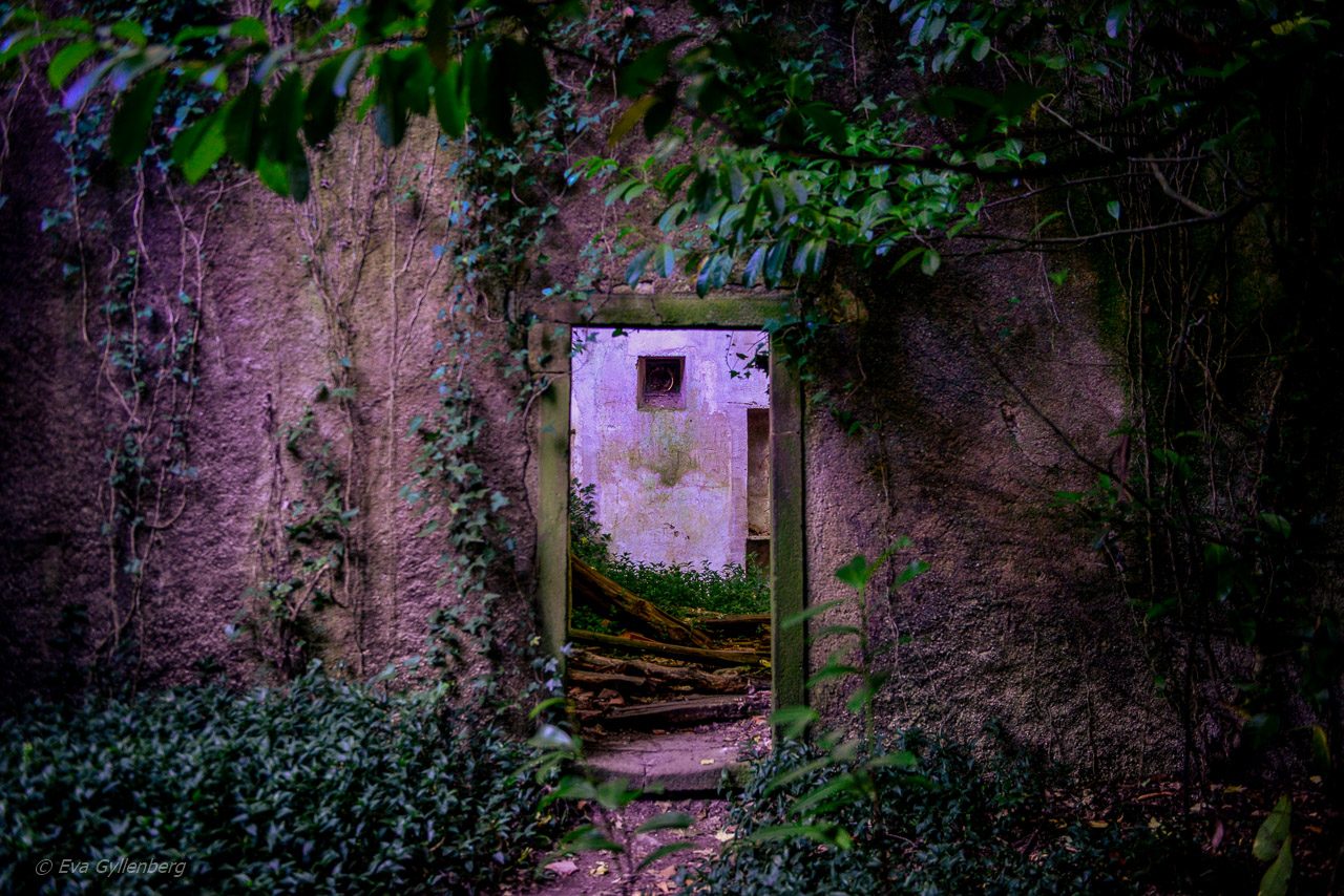 Mata Nacional do Bucaco - Portugal