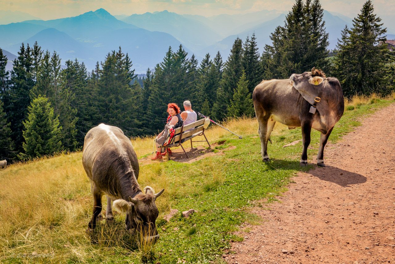 Merano 2000 - Dolomiterna - Italien